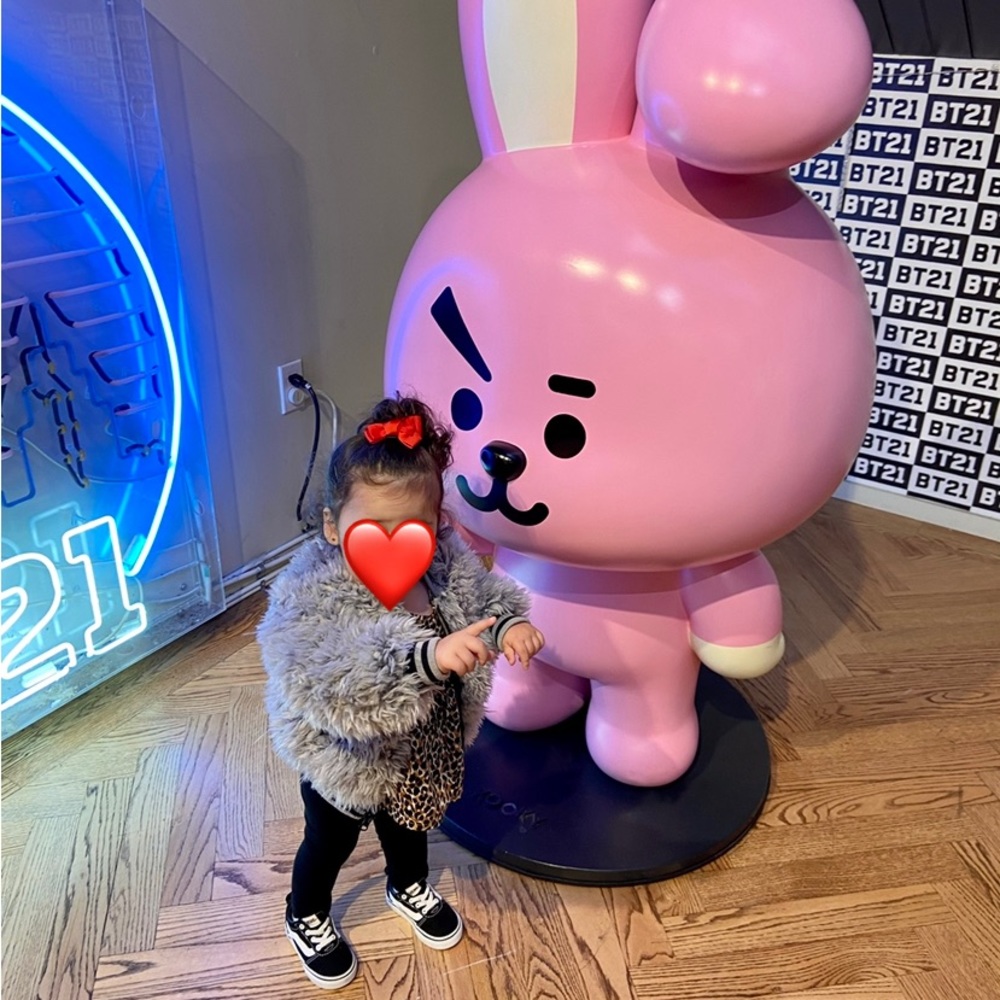 American Widgeon Gray Furry Smiley Jacket